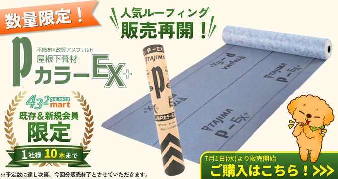 PカラーEX+数量限定販売